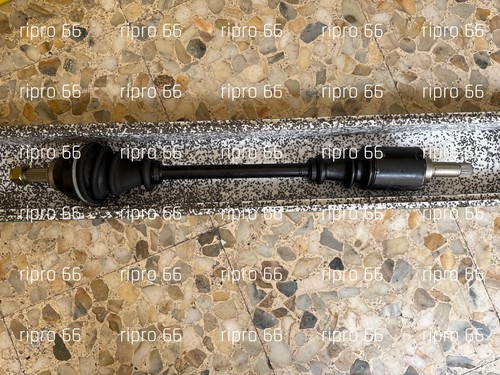 Pe3009 semiasse destro - semiasse,