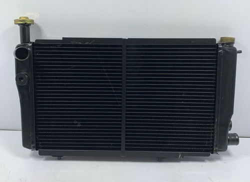 Bm596 marelli radiatore - marelli, motore